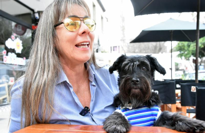 Encuentro benéfico por perros, gatos y caballos