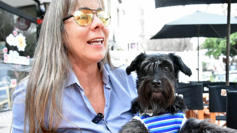 Encuentro benéfico por perros, gatos y caballos