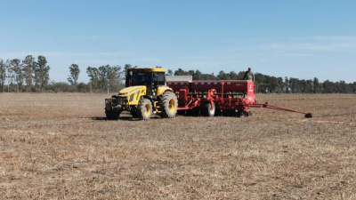 El oeste busca consolidar el cultivo de girasol con condiciones muy favorables