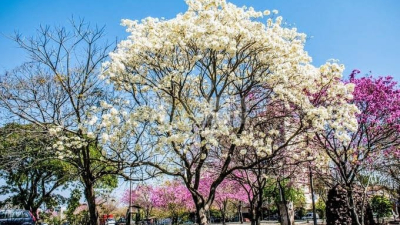 El invierno comienza su despedida esta semana