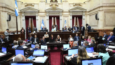 El Senado avanza con la emergencia pediátrica y busca su aprobación en el recinto