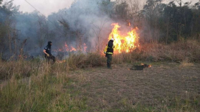 Incendios forestales