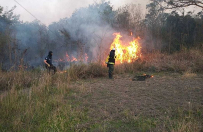 Incendios forestales