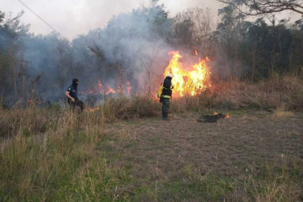 incendio forestal.jpg