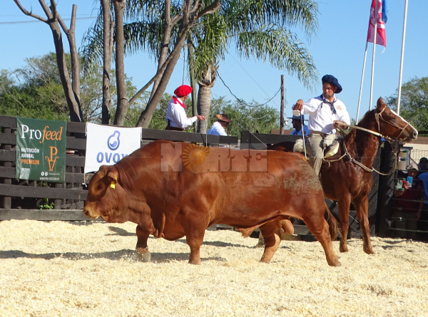 Foto: Fabian Maldonado.