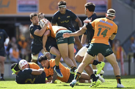 LOS PUMAS 2.jpg