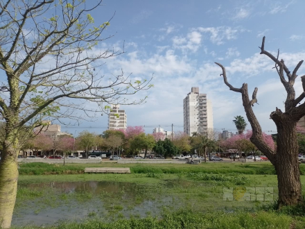 106.jpg