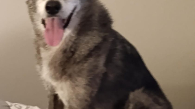 Buscan a Milagros, extraviada hace tres días