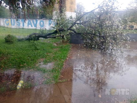 lluvia2.jpg