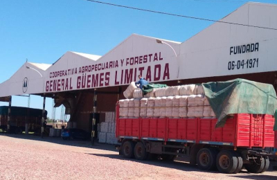 El algodón no tuvo un buen año pero las expectativas se renuevan