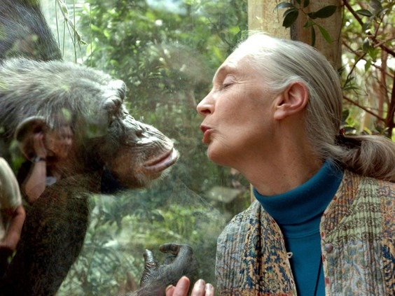 JAneGoodall02.jpg