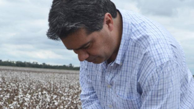 Capitanich propone fortalecer el agro chaqueño y reimpulsar la Ley Algodonera desde el Senado