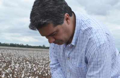 Capitanich propone fortalecer el agro chaqueño y reimpulsar la Ley Algodonera desde el Senado