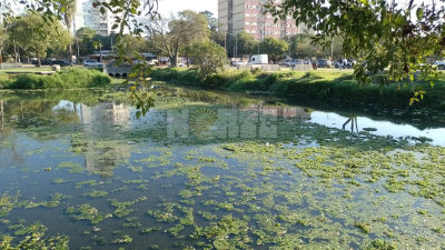 Vuelven las lluvias al Chaco: anuncian inestabilidad desde esta tarde