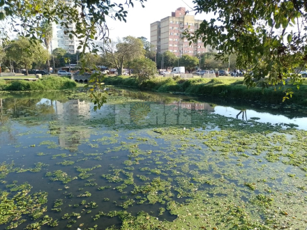 WhatsApp Image 2025-10-27 at 08.28.20.jpeg