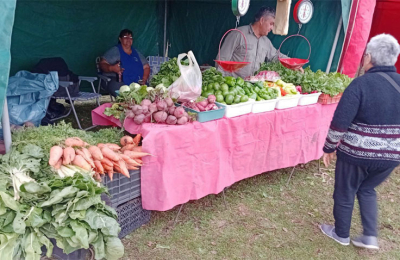 El desarrollo de la producción primaria local es posible