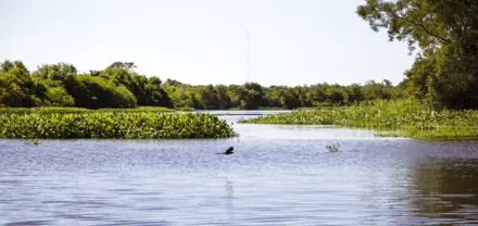 Río Negro