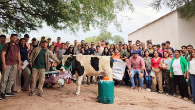 Logran obtener semen de toro Holando-argentino en Taco Pozo