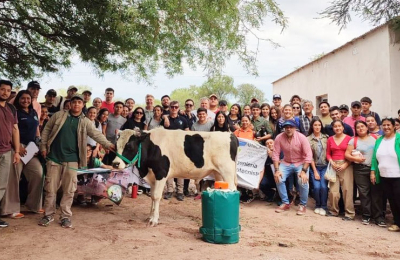 Logran obtener semen de toro Holando-argentino en Taco Pozo