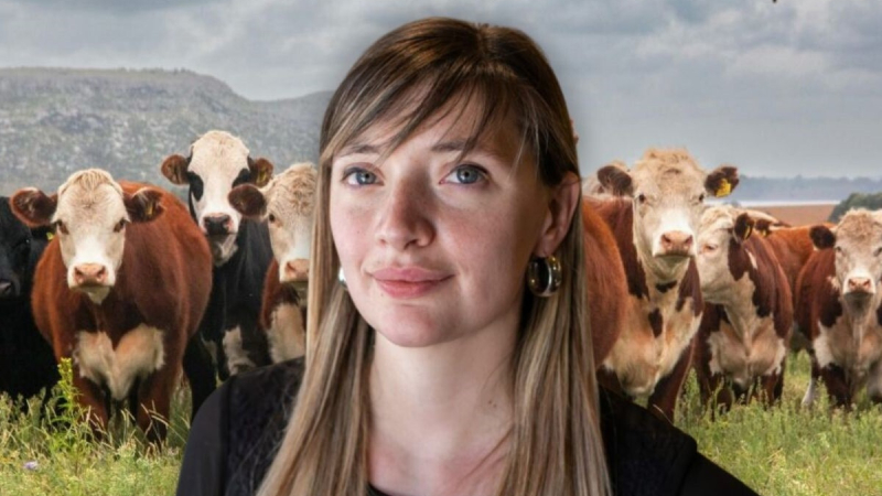 Diputada K propone un impuesto a los "pedos" de las vacas