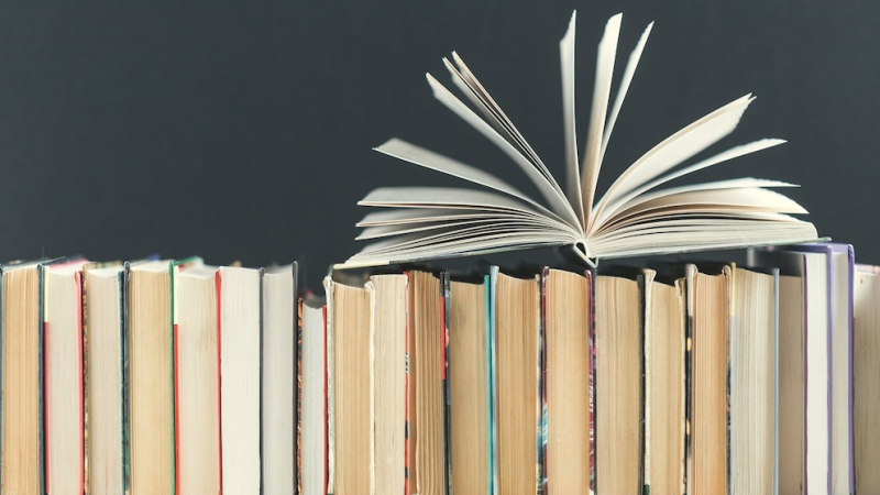 Dos libros argentinos fueron elegidos entre los mejores del año por The New Yorker