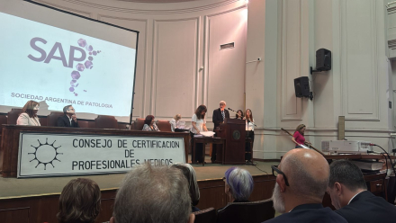 CERTIFICACIÓN DOCTOR ANDRÉS PALOMAR (2).jpeg