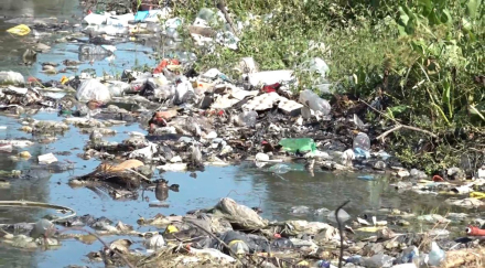 basura1.jpg