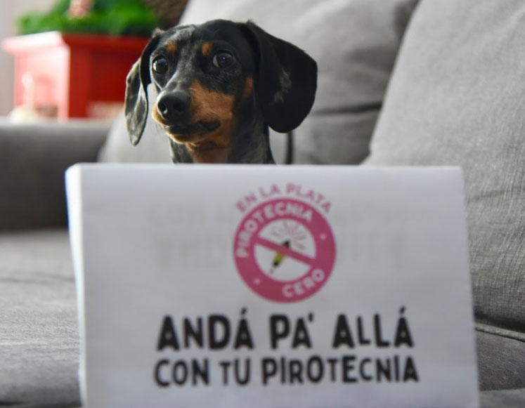 pirotecnia.jpg