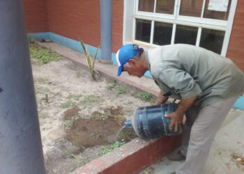 Dengue recomiendan intensificar el descacharrizado durante y después de los días de lluvia (3).jpeg