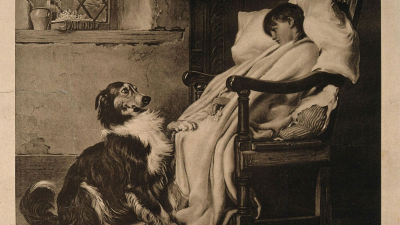 La historia de 17.000 años que nos une a nuestros perros