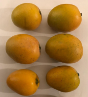 mangos2.jpg