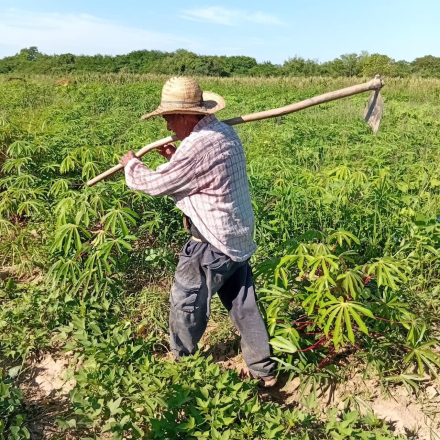 3 Productores paipperos2.jpg