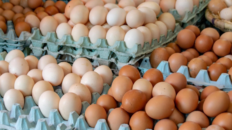 Argentina se convirtió en el mayor consumidor de huevos del mundo