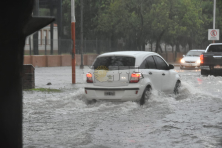 diluvio 4.jpg