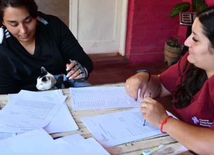 esterilizacion1.jpg