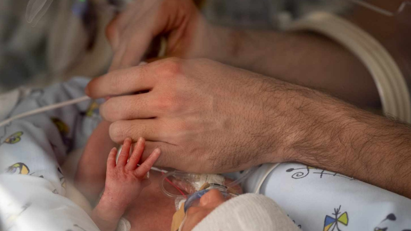 Sangre del cordón umbilical, mejor que las transfusiones de adulto