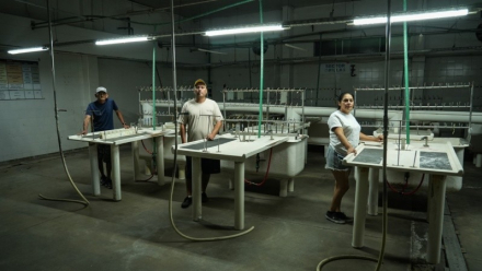 Trabajadores de la empresa Euro en el lugar donde solían desarrollar sus tareas2. Foto Alan Monzón-Rosario3.jpg