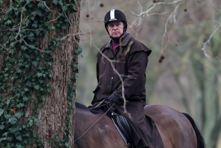 andrew-mountbatten-windsor-monta.jpg