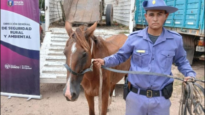 Fontana: un hombre robaba carne y salía a venderla a caballo