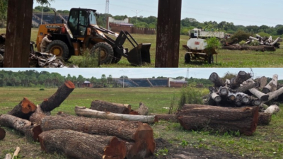 Denuncian desmontes en el Parque Caraguatá y crece la preocupación