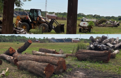 Denuncian desmontes en el Parque Caraguatá y crece la preocupación