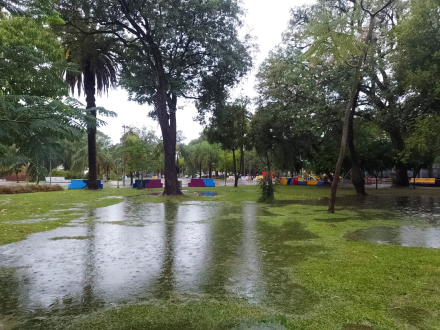 lluvia6