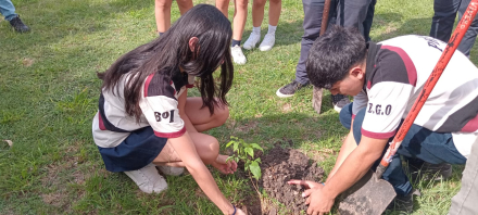 Plantaron arboles en la EPES N°31 (4).jpeg