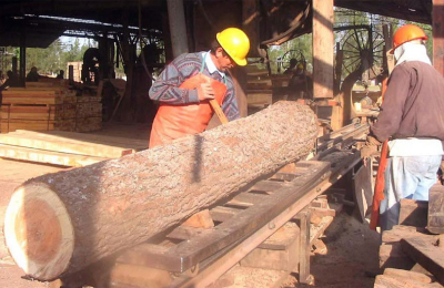 Entre el diálogo y la incertidumbre: el sector forestal chaqueño busca reactivarse