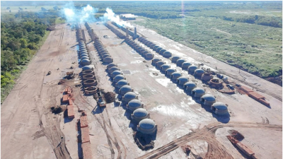 Formosa impulsa la producción de carbón vegetal a escala industrial