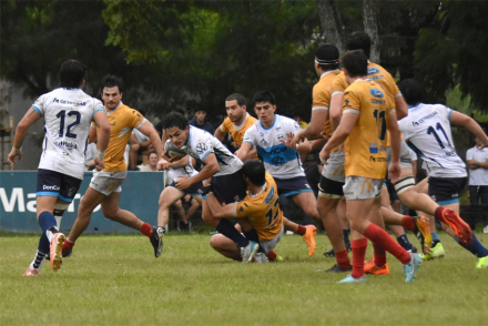 rugby3.jpg