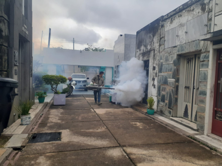acciones dengue cementerio Virgen del Carmen (4).jpeg