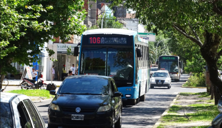 colectivo.jpg