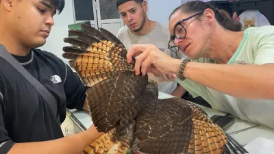 El Refugio de Aves Silvestres pide colaboración urgente