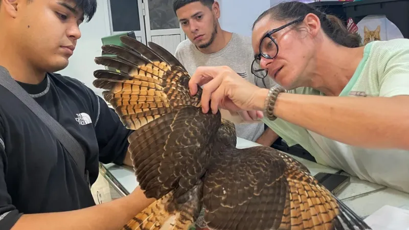 El Refugio de Aves Silvestres pide colaboración urgente